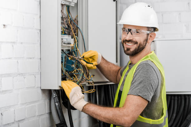 Best Electric Panel Repair  in Linn, MO